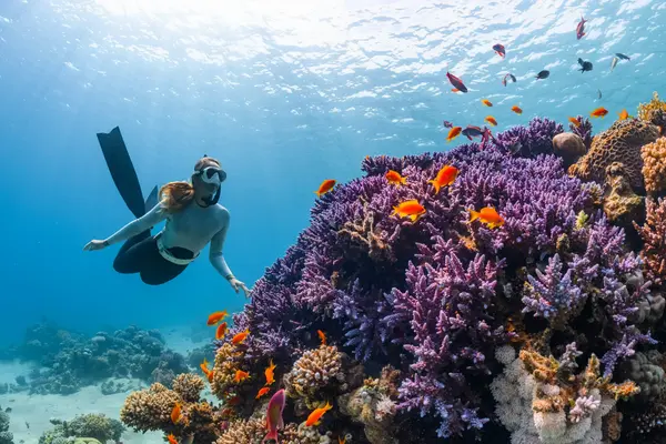 Underwater reef