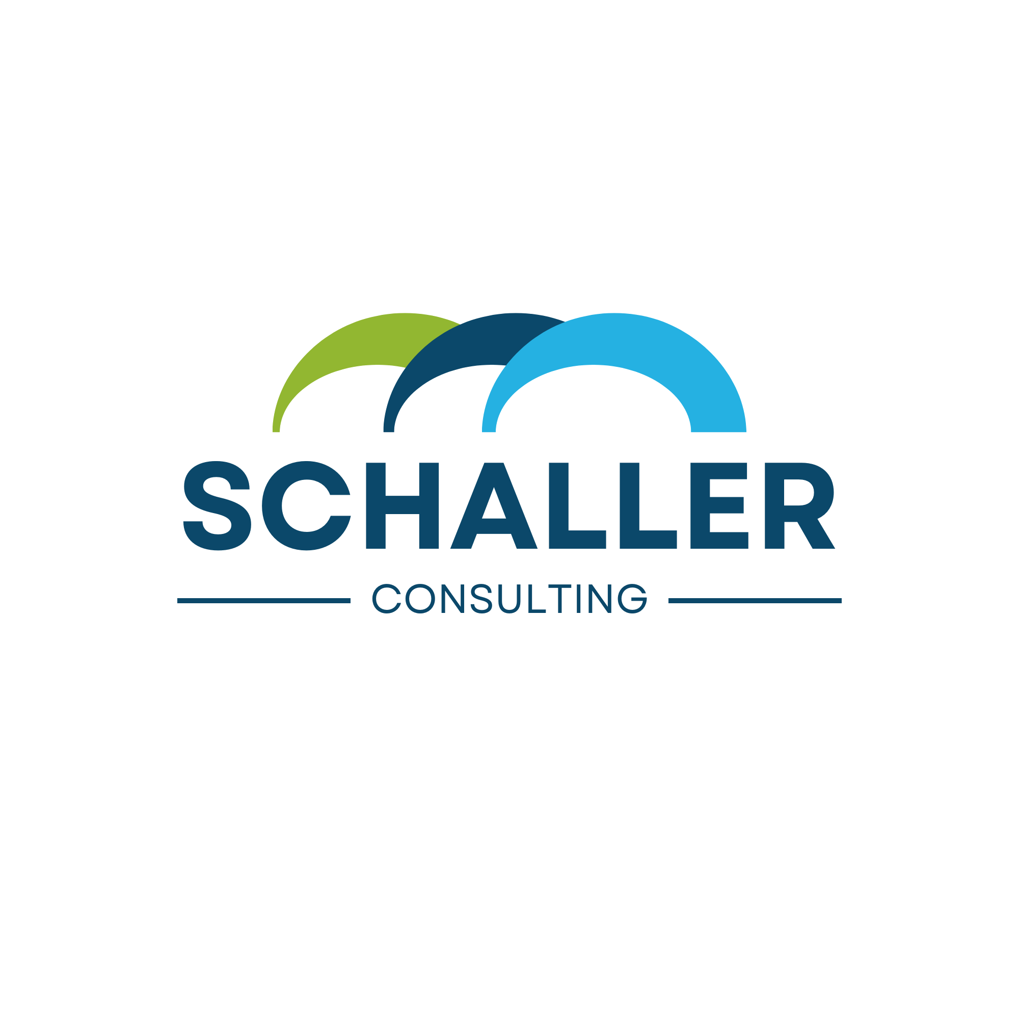 Schaller Consulting